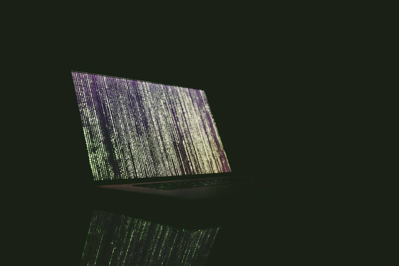 Website Backup